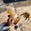 Small image 5