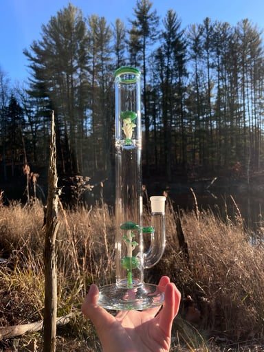 Preview pic of E bitten Psilocybong (TitanV2)