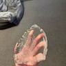 Small image 2