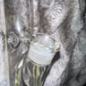 Small image 5