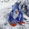 Small image 0