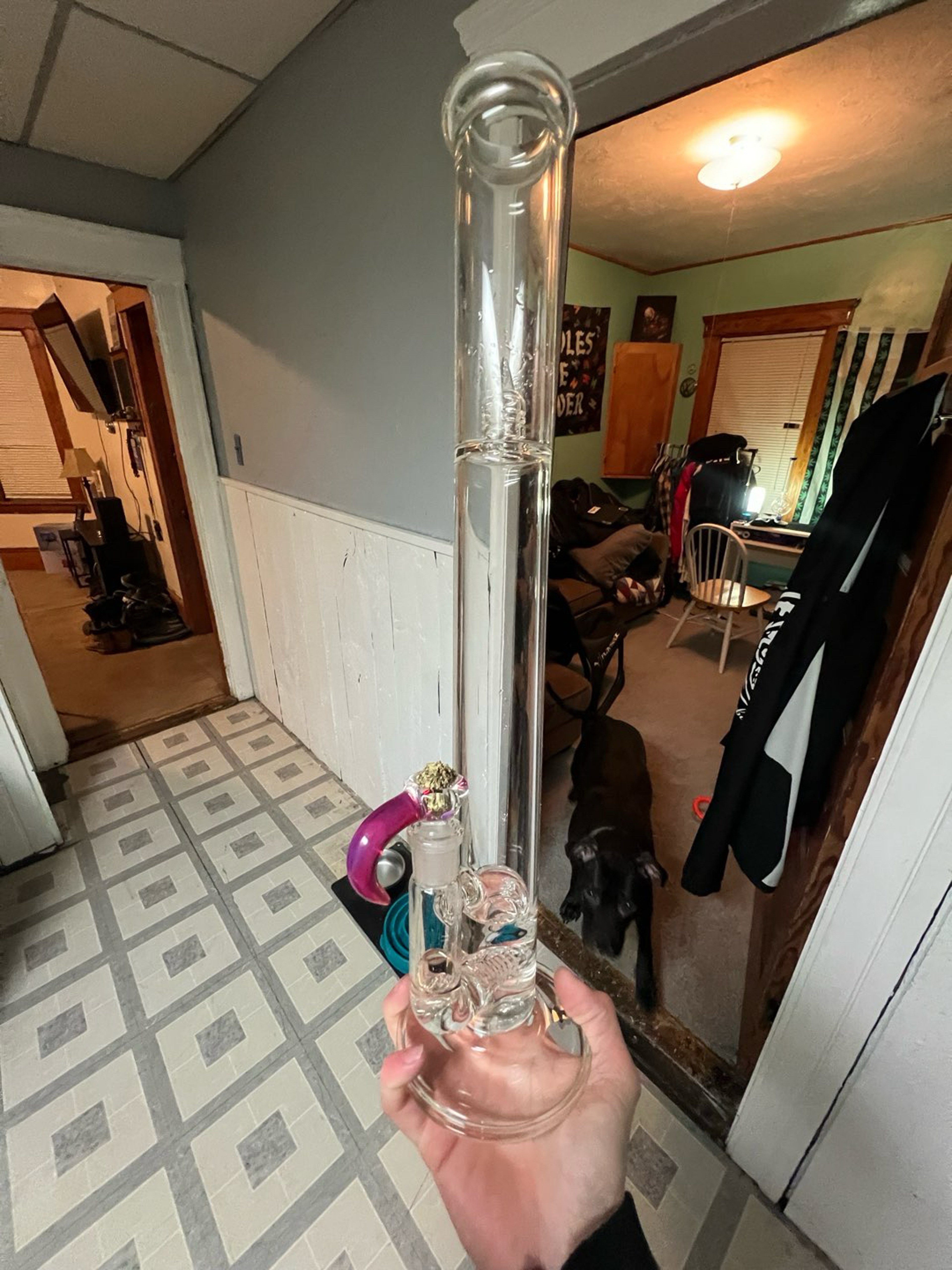 Preview pic of Kenta kito