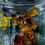 Small image 6