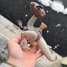 Small image 0