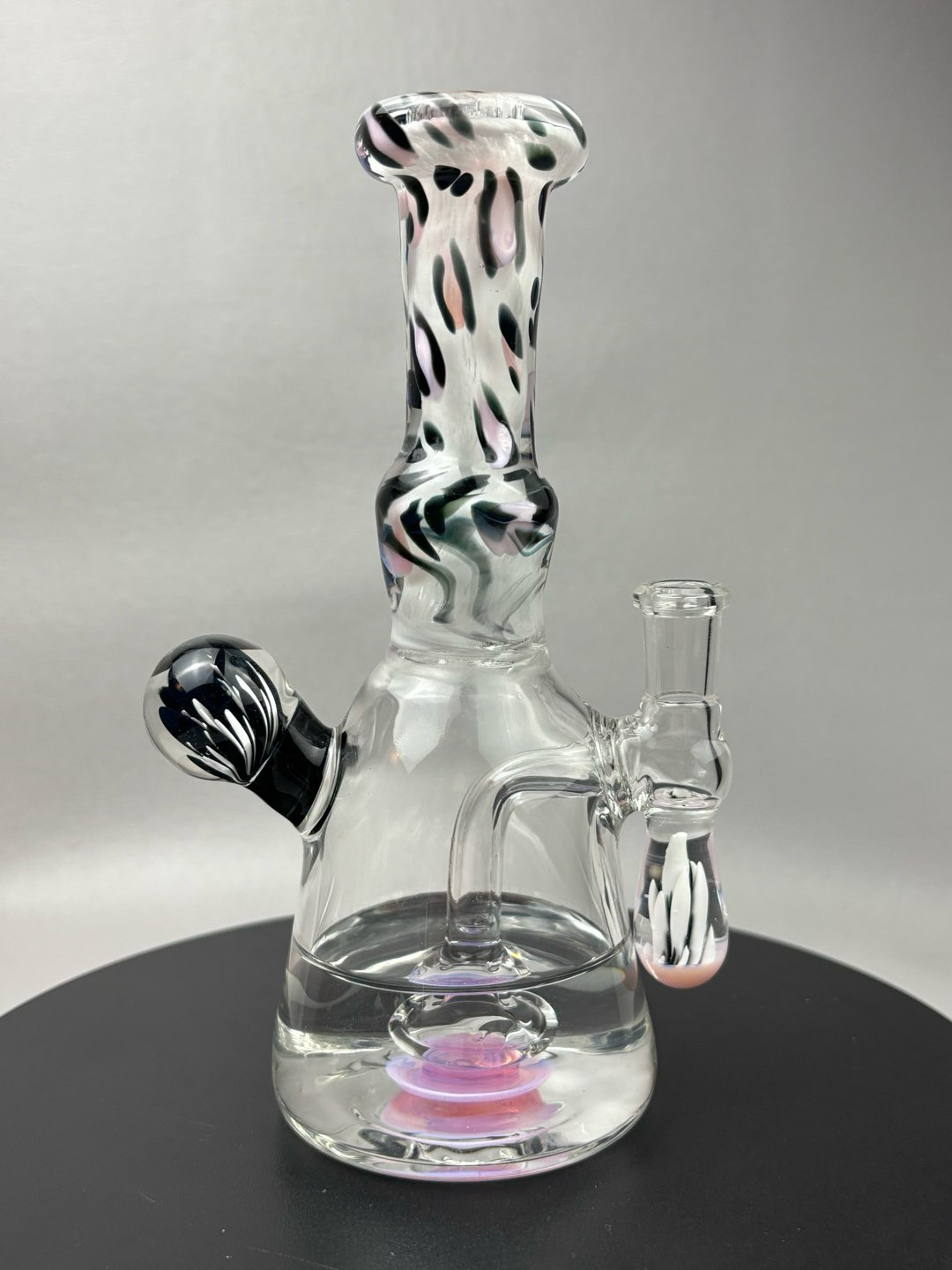 Preview pic of Cheetah Rig Made by Me