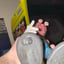 Small image 6