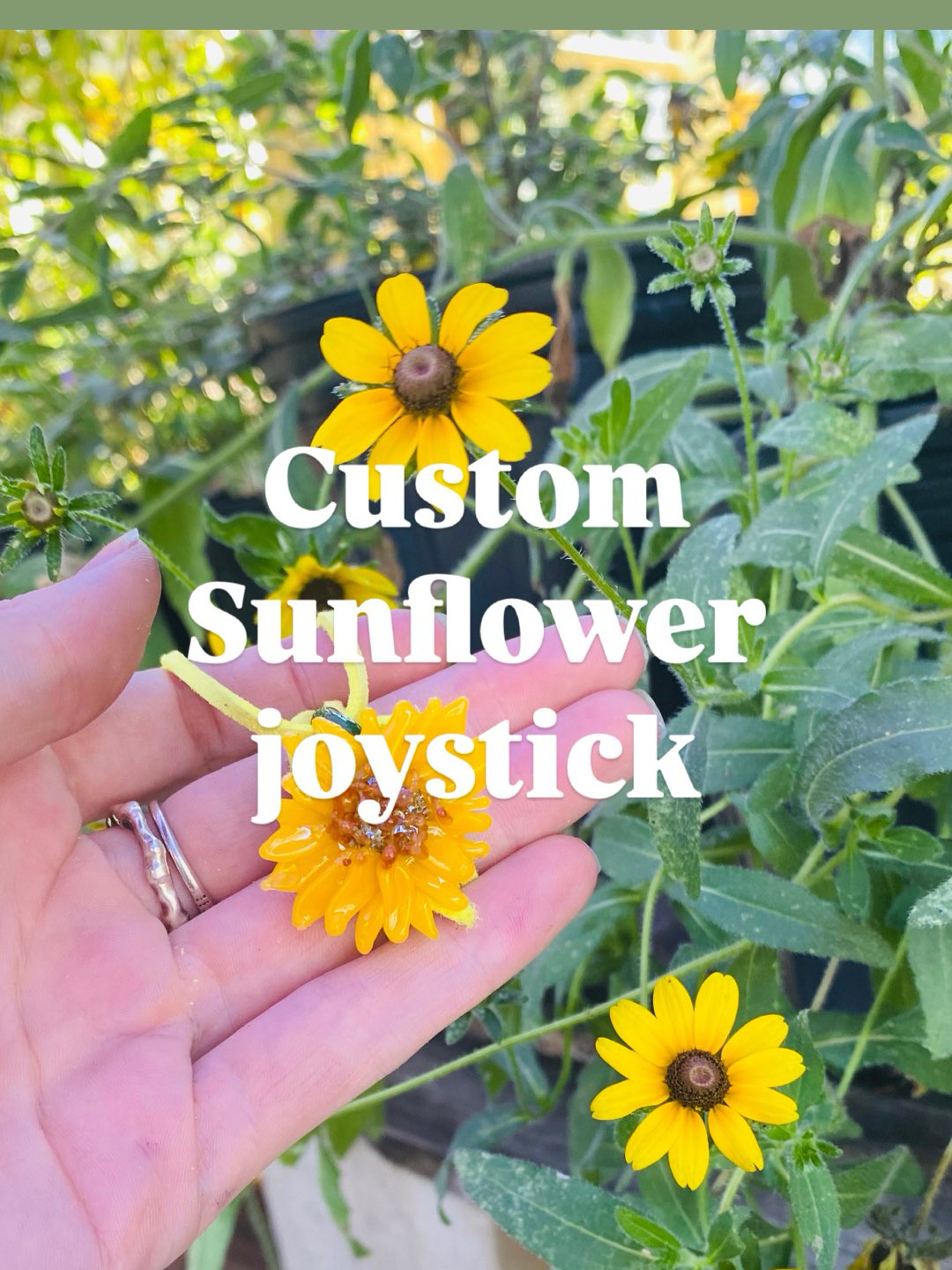 Preview pic of Custom Sunflower joystick 3DXL