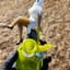 Small image 3