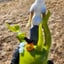 Small image 7