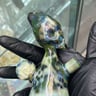 Small image 3