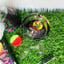Small image 7