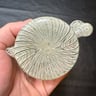 Small image 6