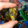 Small image 1