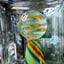 Small image 8