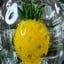 Small image 7