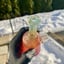 Small image 4