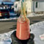 Small image 9