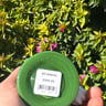 Small image 3