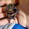 Small image 3