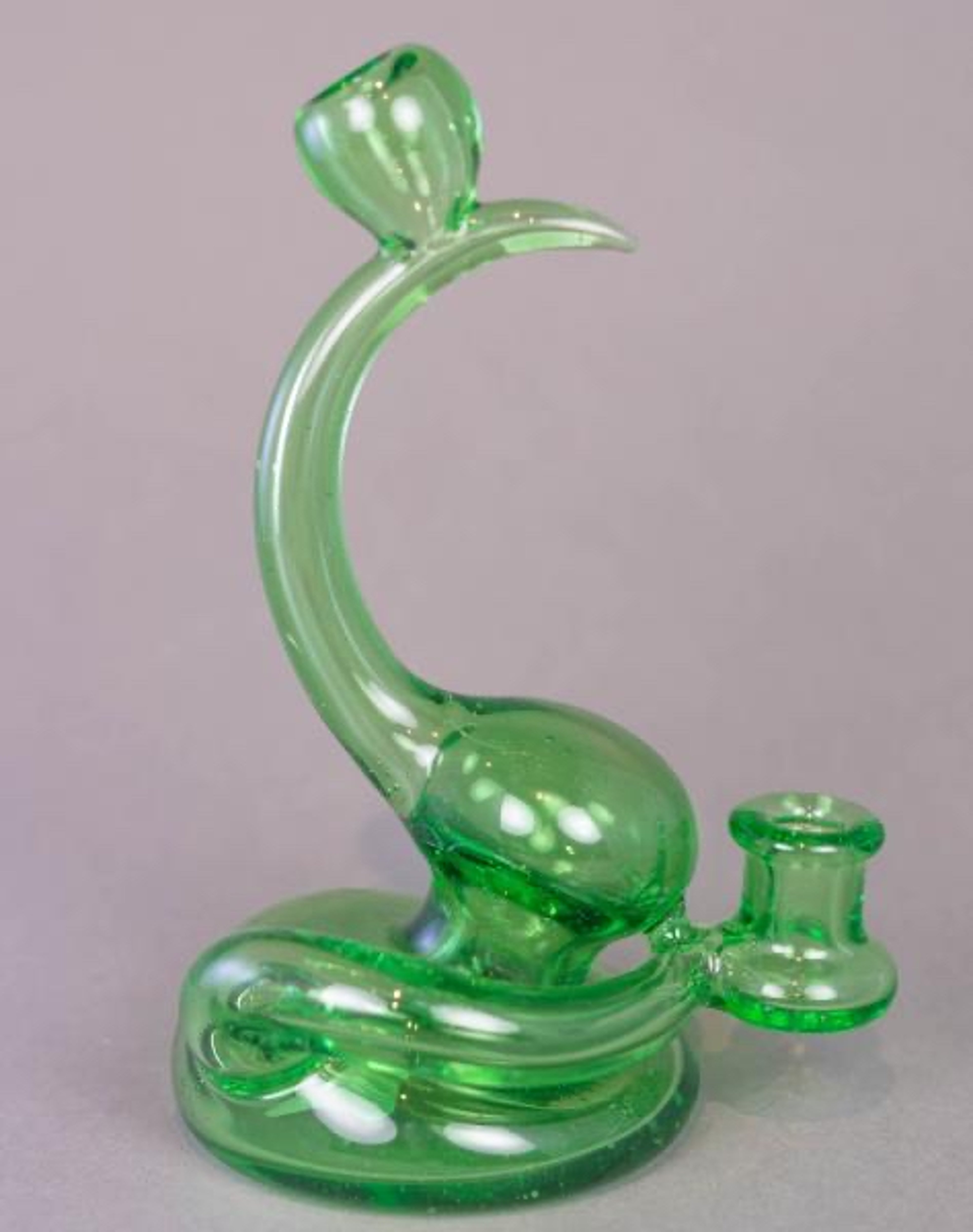 Preview pic of Glass Munky Curved Downstem Rig