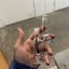 Small image 5