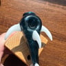 Small image 4