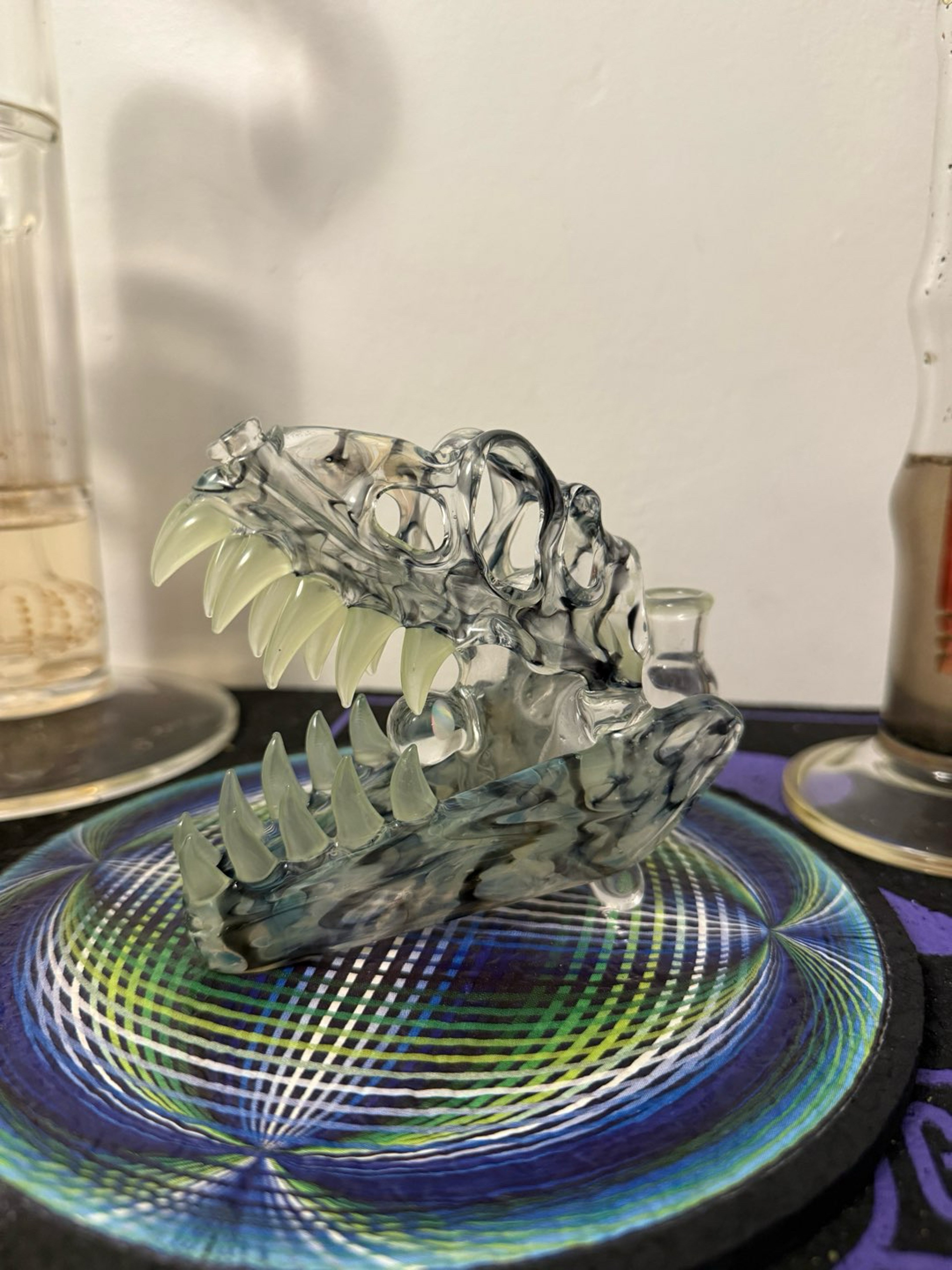 Preview pic of 22’ Slurm snob fumed t. Rex head