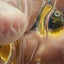 Small image 6