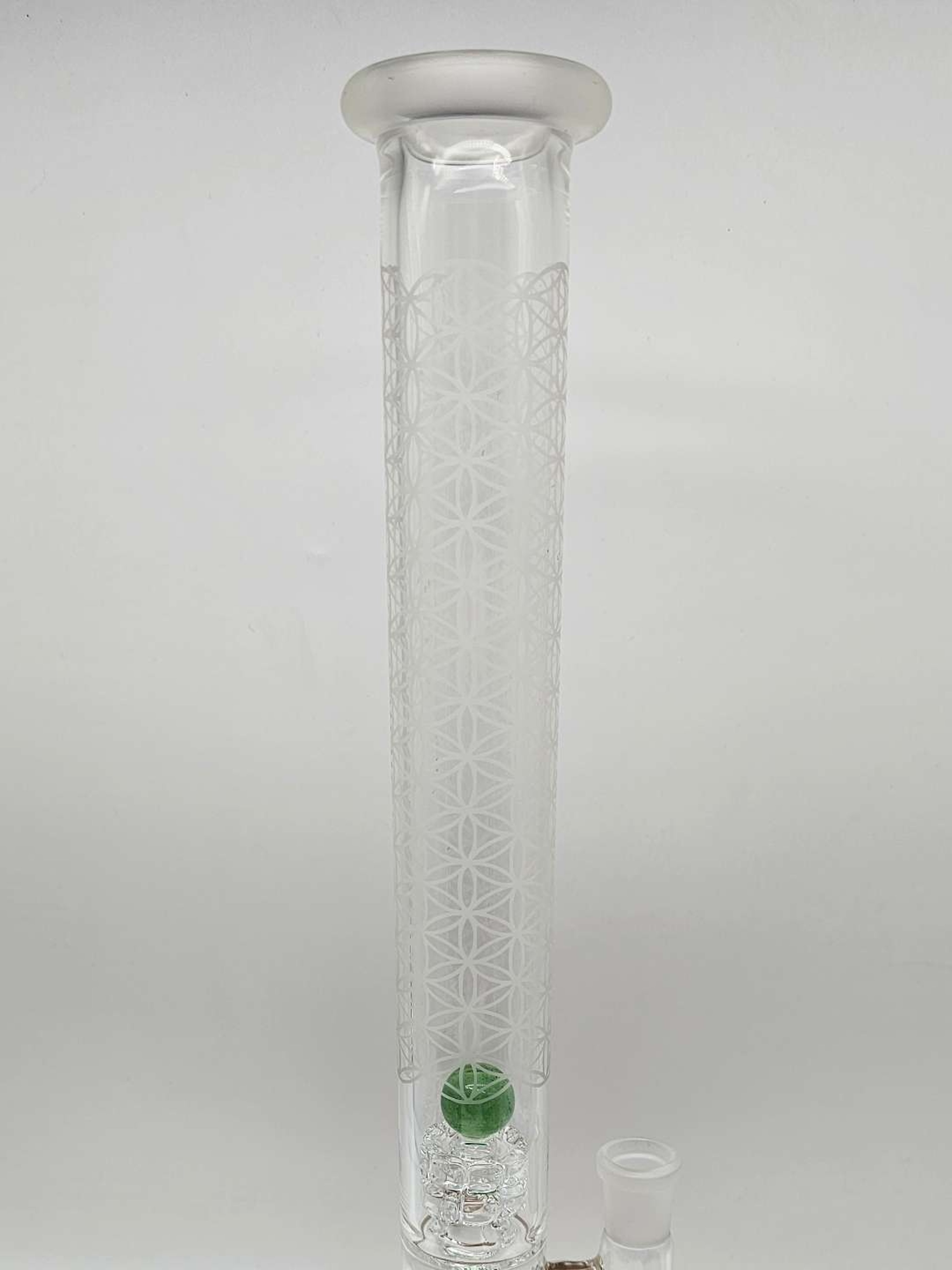 Preview pic of NO RESERVE FLASH AUCTION!!! Plantphibian gnob straight tube