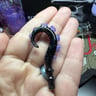 Small image 4