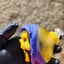 Small image 9
