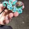 Small image 2