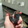 Small image 4