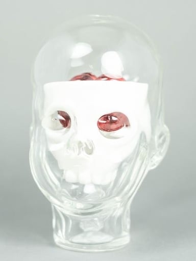 Preview pic of Coyle x JOP! Head Anatomy