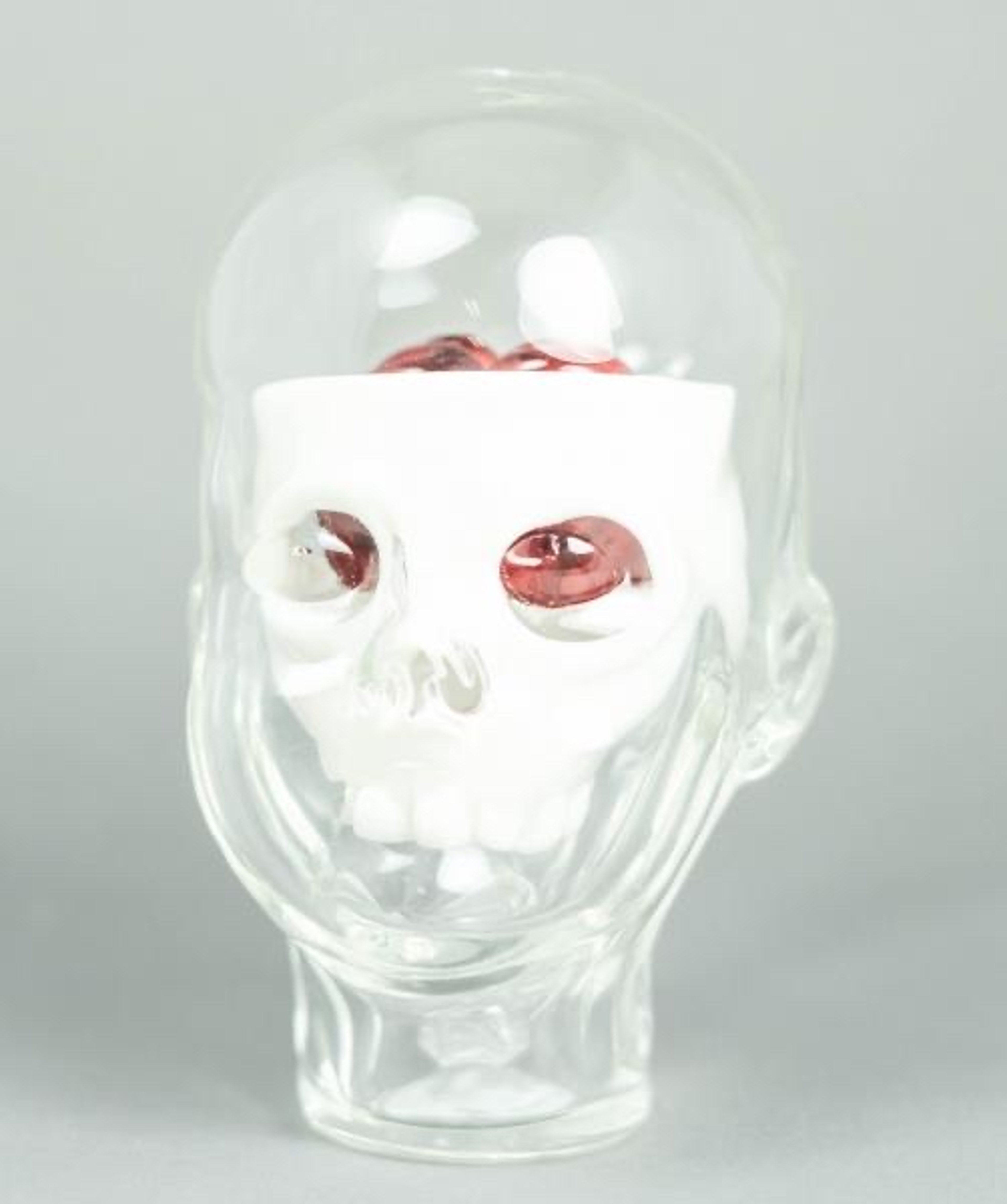 Preview pic of Coyle x JOP! Head Anatomy
