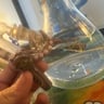 Small image 4