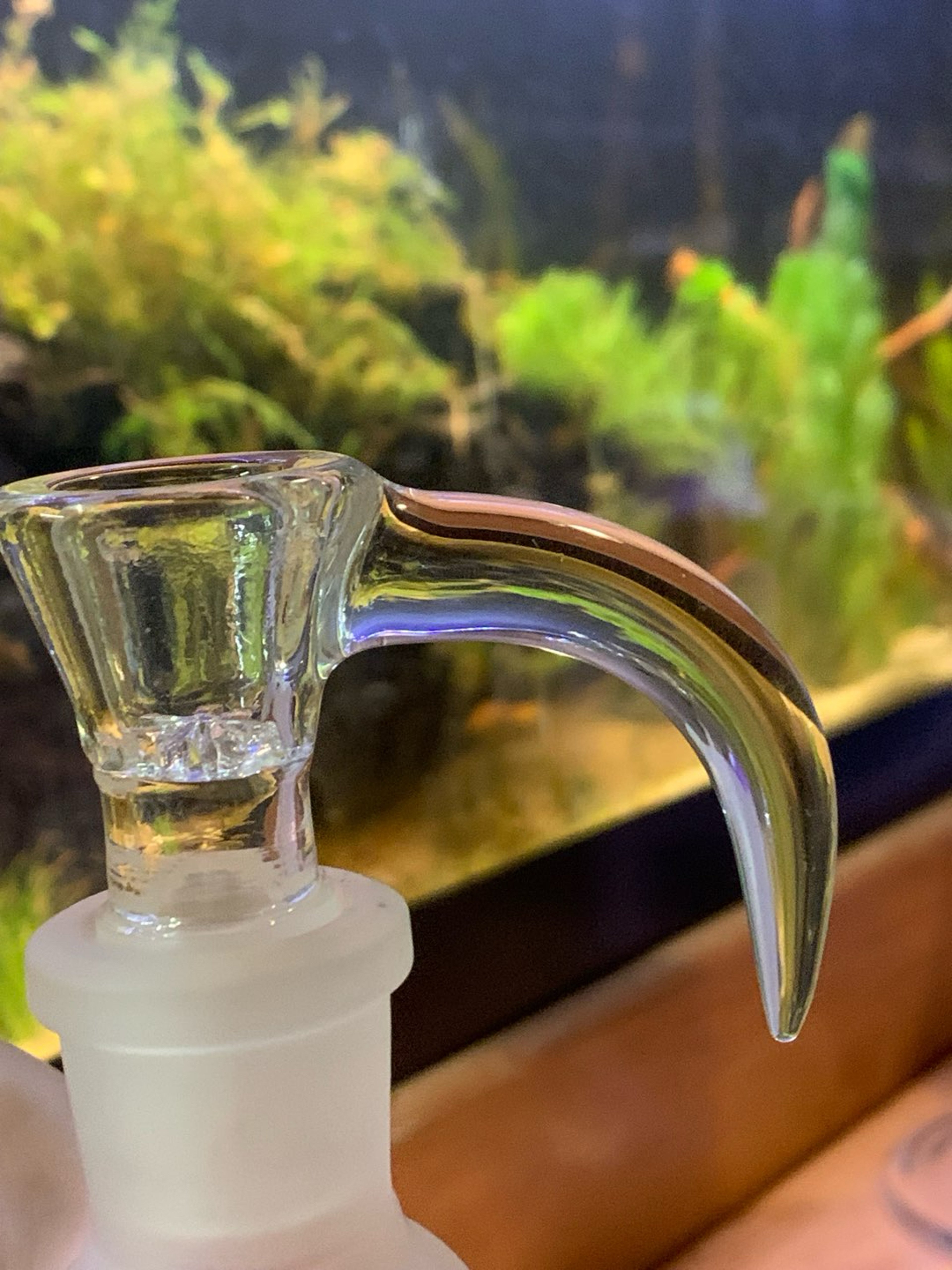Preview pic of 18mm Clear horned slides