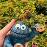 Small image 4