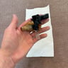 Small image 4
