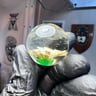 Small image 1