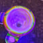 Small image 8