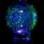Small image 4