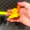 Small image 1