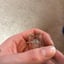 Small image 8