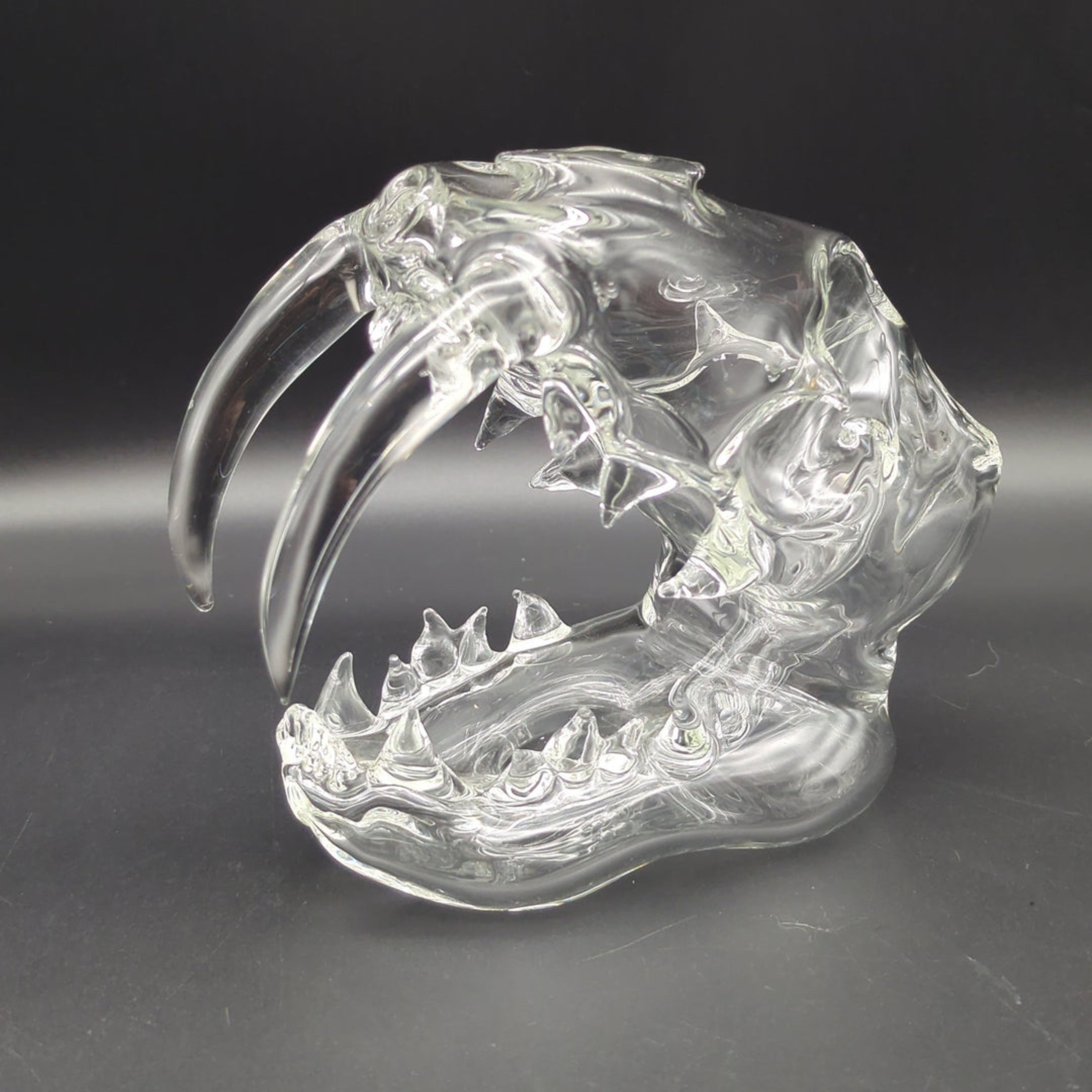 Preview pic of CLEAR SABERTOOTH SKULL SCULPTURE RIG - BY EKA GLASS