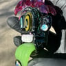 Small image 2
