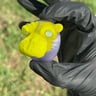 Small image 2