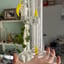 Small image 6