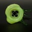 Small image 7