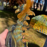 Small image 5